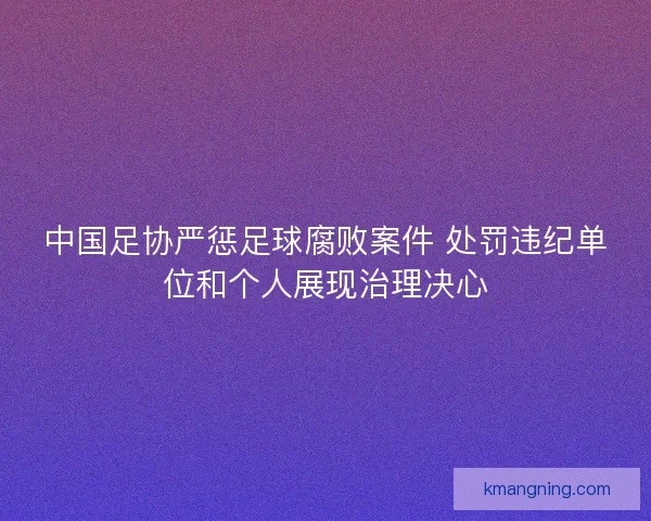 中国足协严惩足球腐败案件 处罚违纪单位和个人展现治理决心