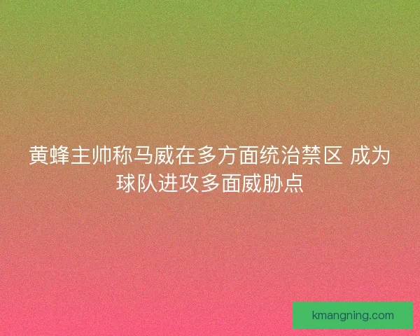 黄蜂主帅称马威在多方面统治禁区 成为球队进攻多面威胁点