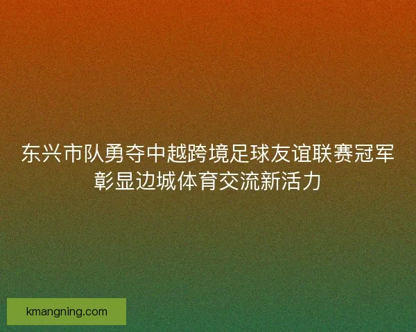 东兴市队勇夺中越跨境足球友谊联赛冠军彰显边城体育交流新活力