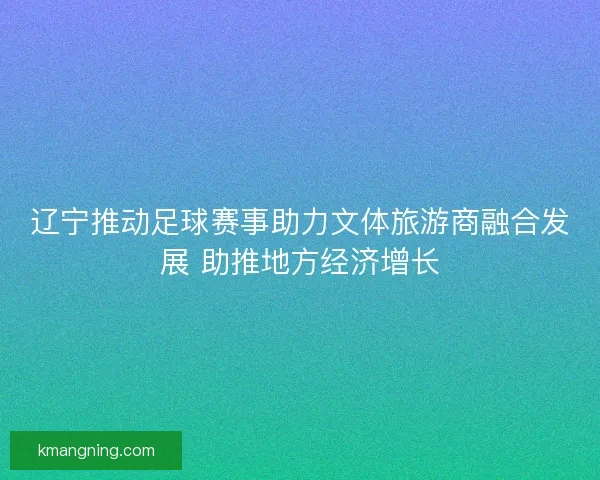 辽宁推动足球赛事助力文体旅游商融合发展 助推地方经济增长